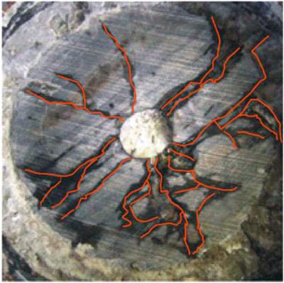 Description of Fracture Network of Hydraulic Fracturing Vertical Wells in Unconventional Reservoirs